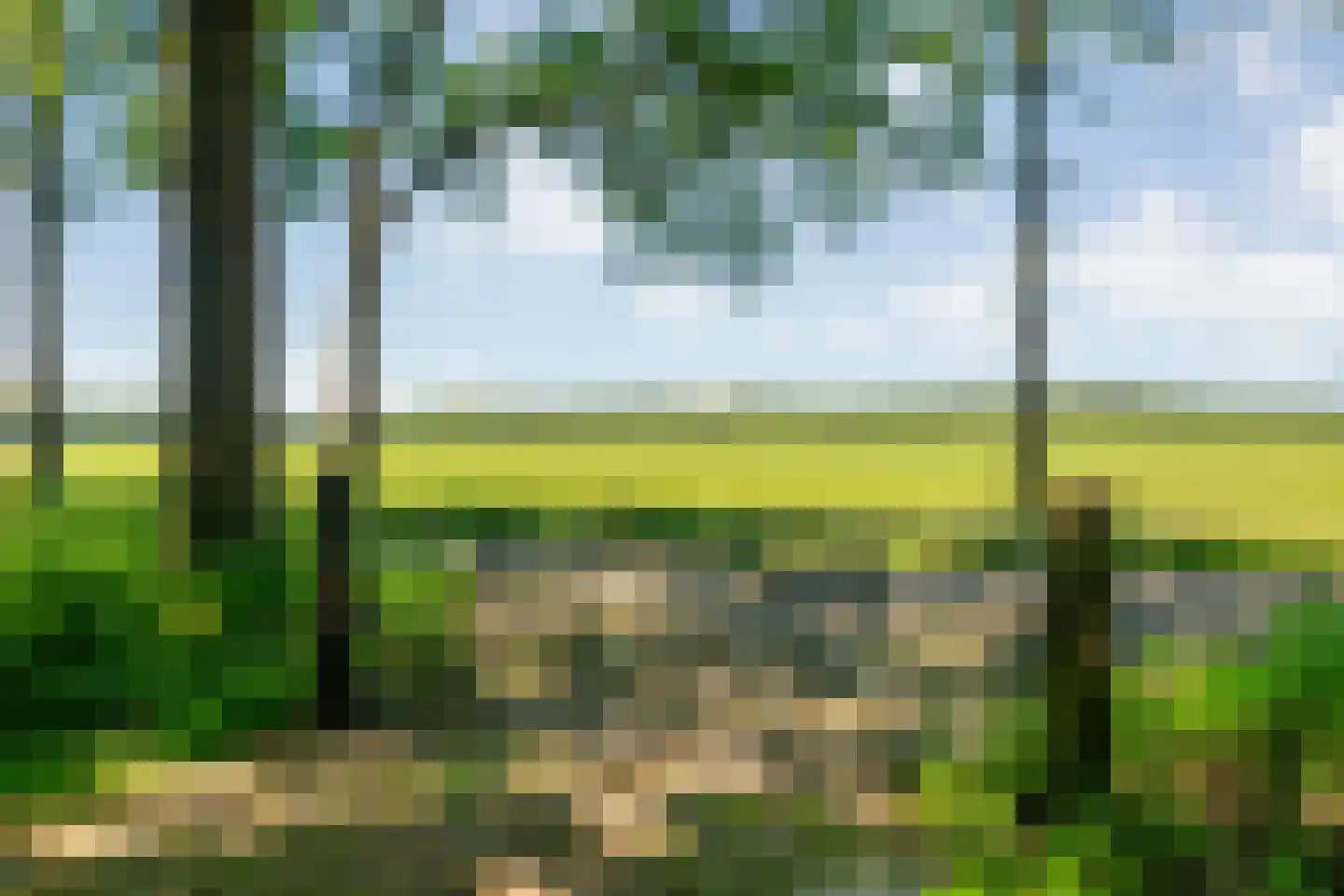 Ruiten A kanaal West V 1 d Ter Apel thumbnail 73