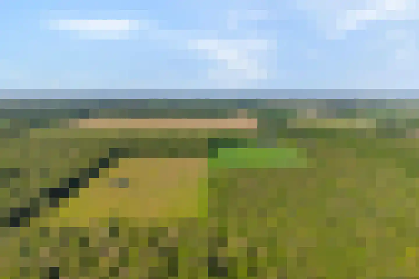 Ruiten A kanaal West V 1 d Ter Apel thumbnail 75