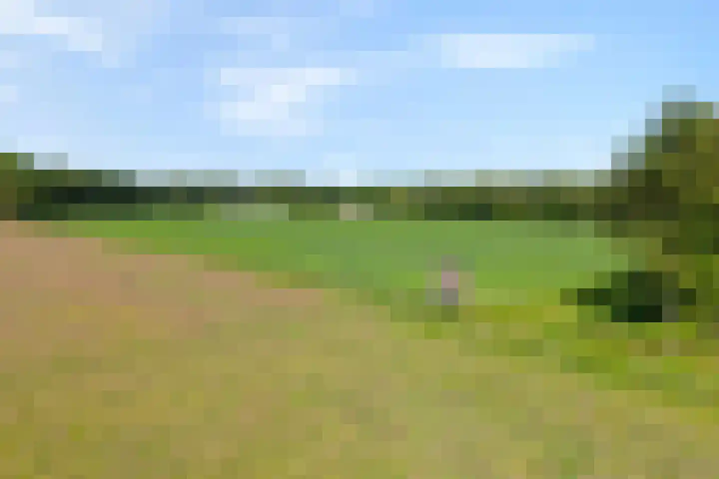 Ruiten A kanaal West V 1 d Ter Apel thumbnail 76