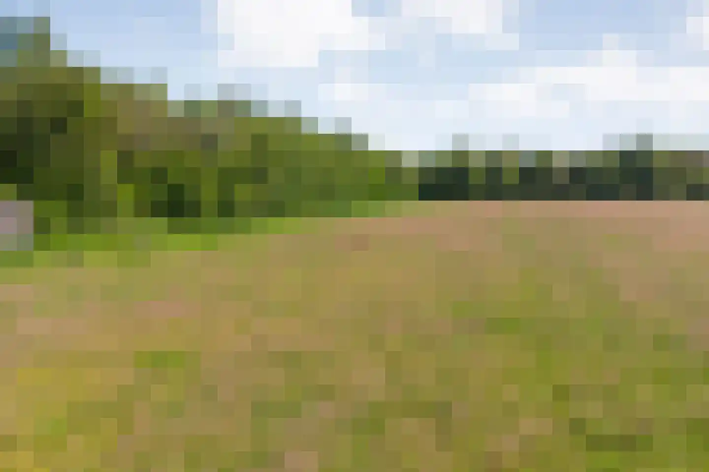 Ruiten A kanaal West V 1 d Ter Apel thumbnail 77