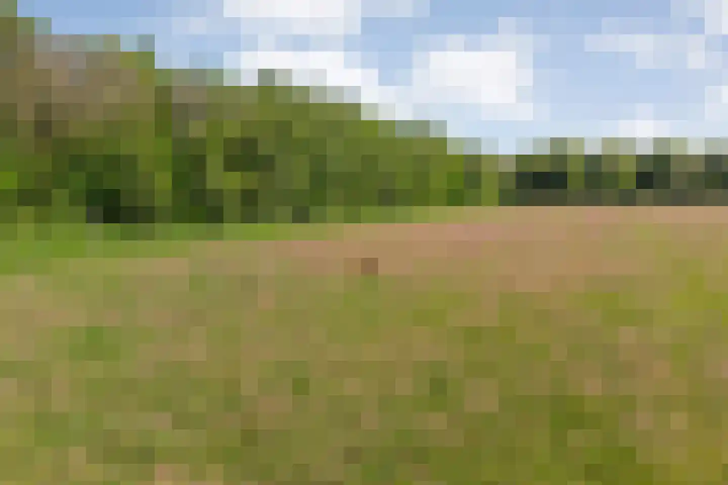 Ruiten A kanaal West V 1 d Ter Apel thumbnail 78