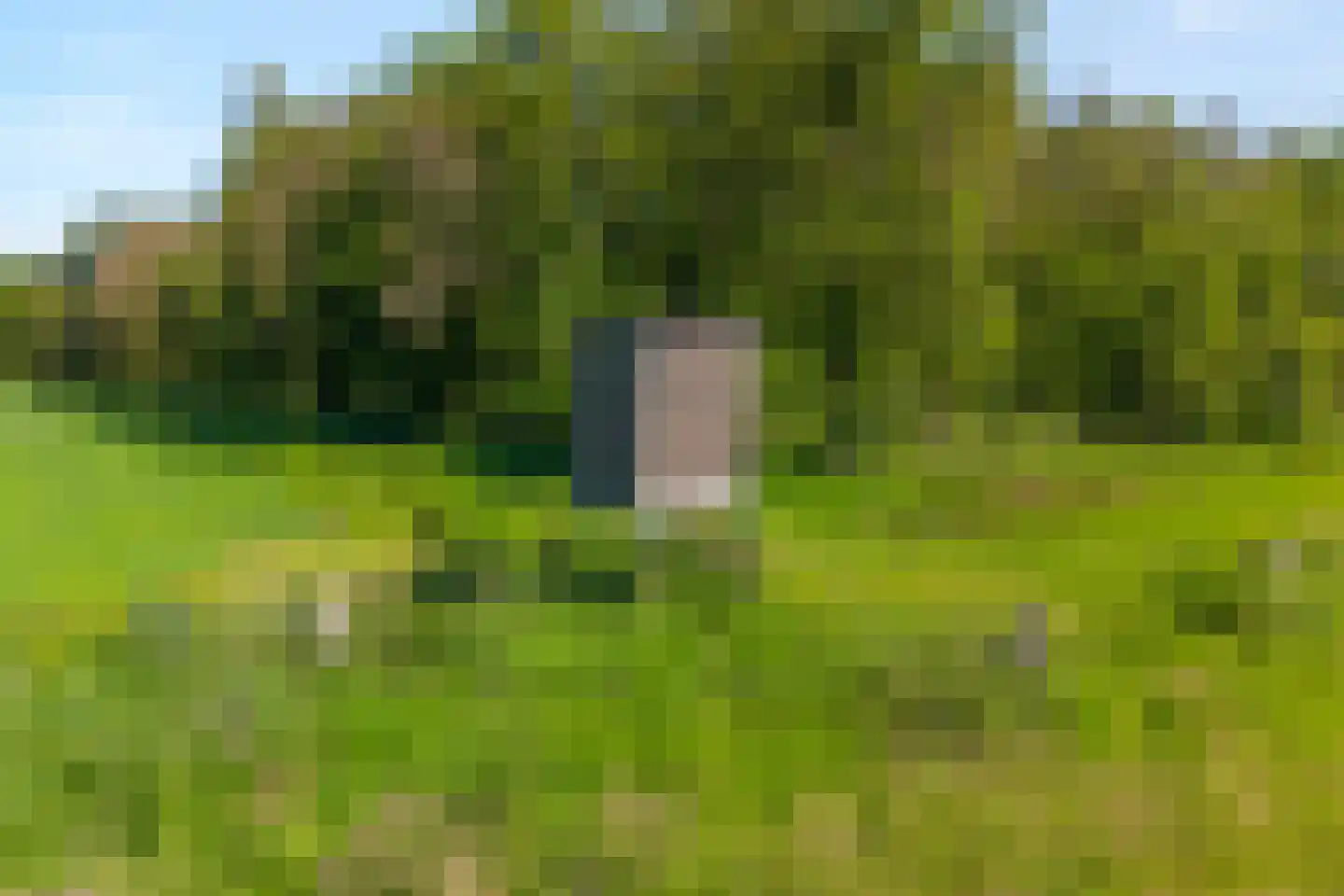 Ruiten A kanaal West V 1 d Ter Apel thumbnail 79