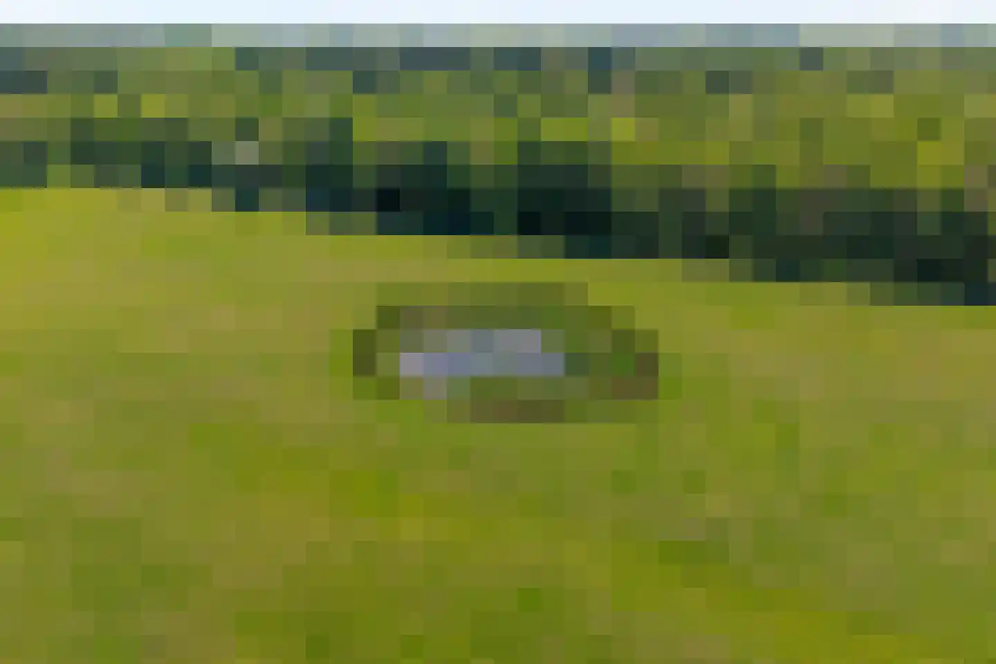 Ruiten A kanaal West V 1 d Ter Apel thumbnail 80