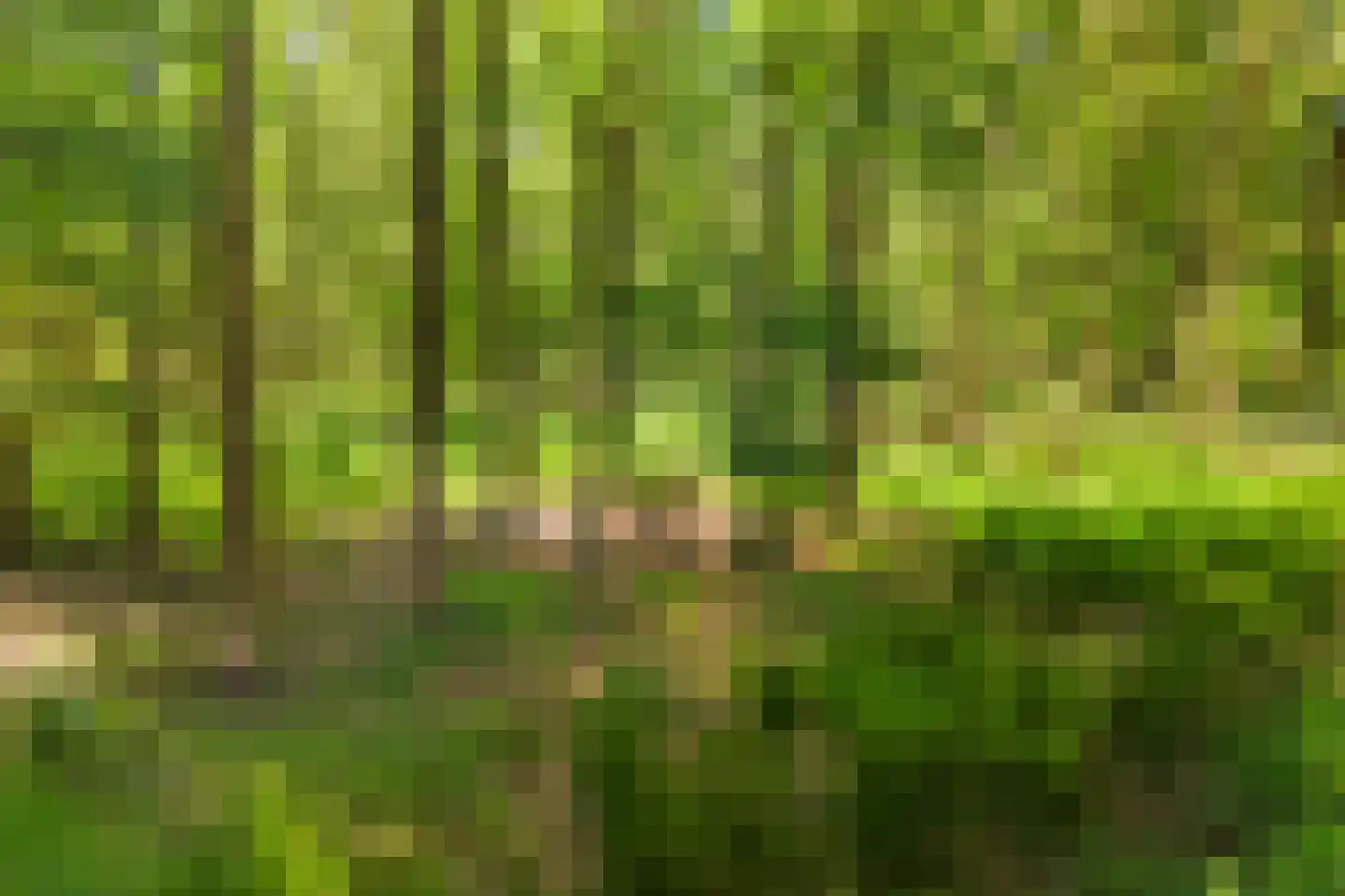 Ruiten A kanaal West V 1 d Ter Apel thumbnail 81