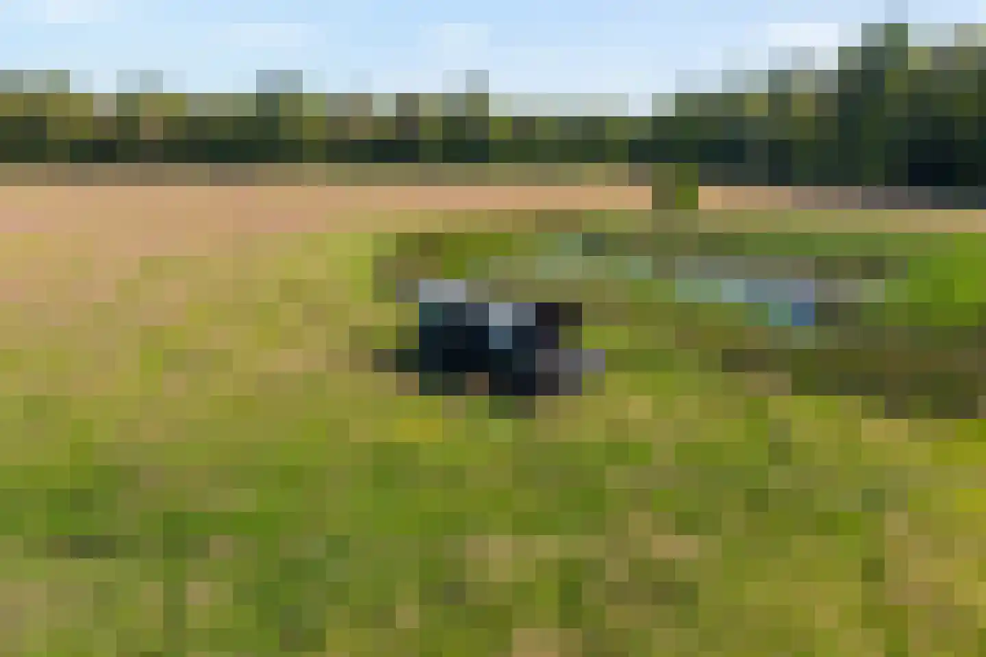 Ruiten A kanaal West V 1 d Ter Apel thumbnail 82