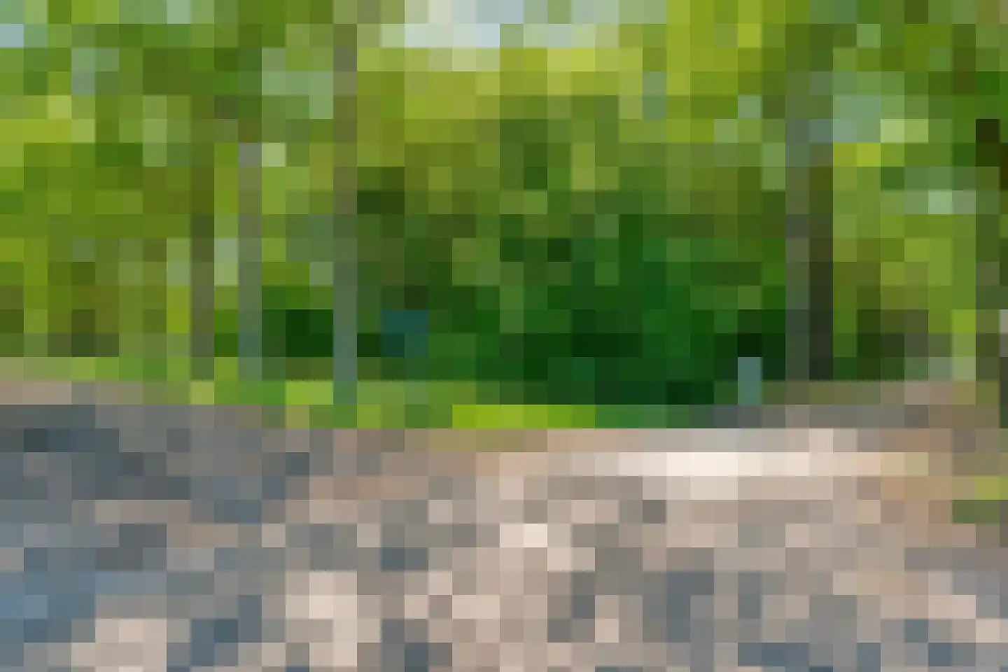 Ruiten A kanaal West V 1 d Ter Apel thumbnail 88