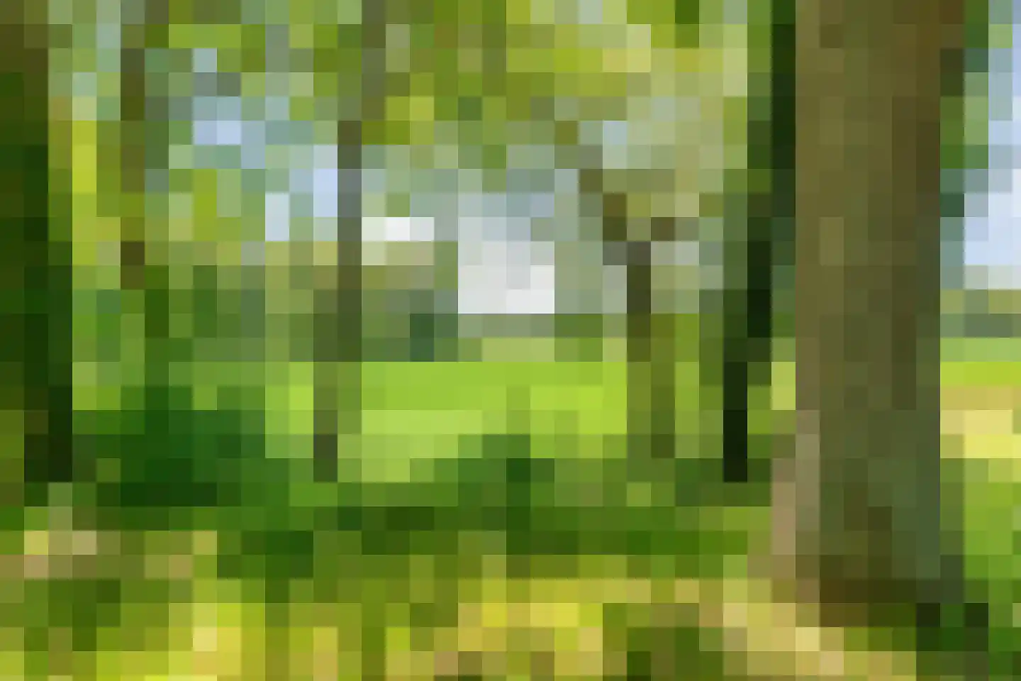 Ruiten A kanaal West V 1 d Ter Apel thumbnail 89