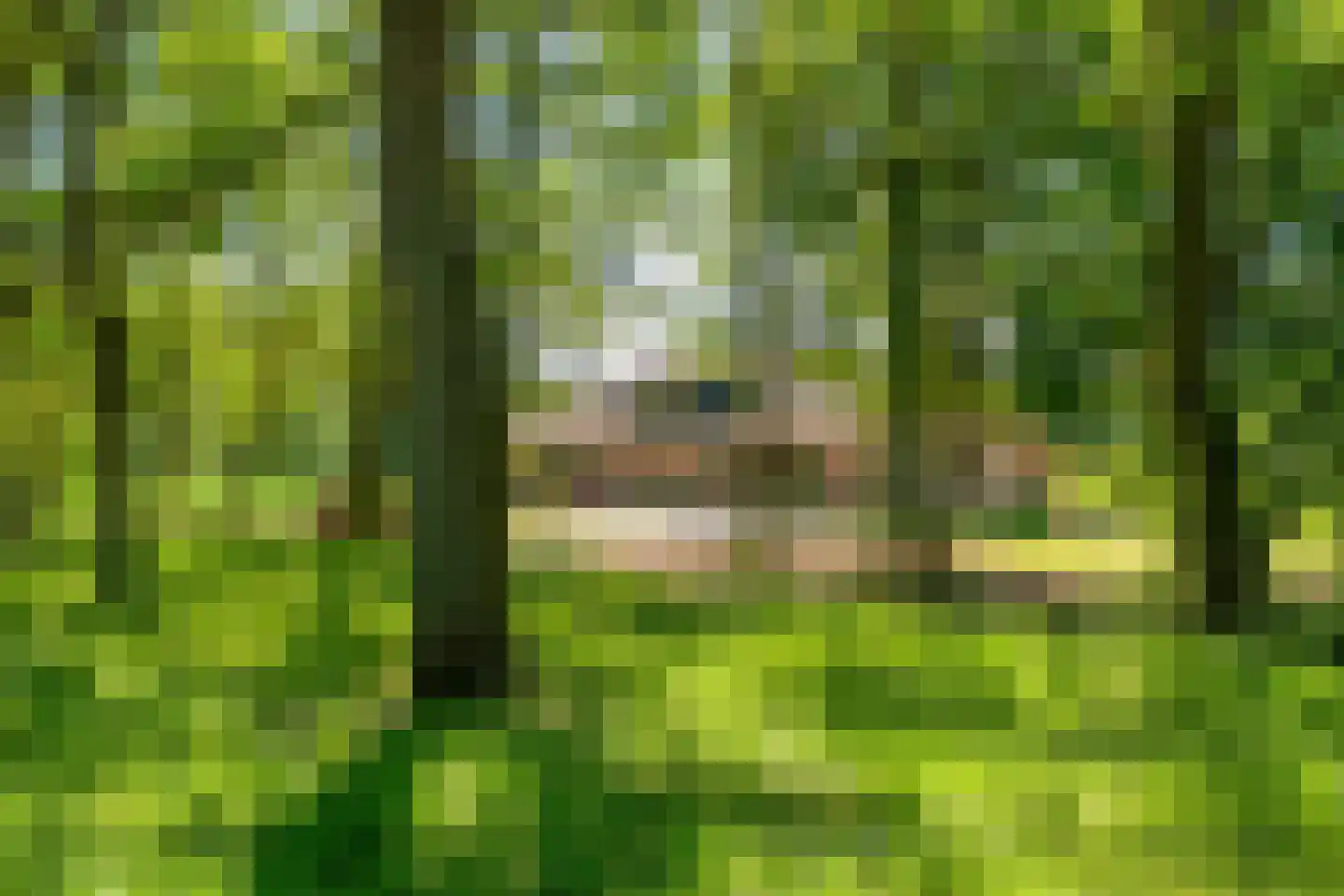 Ruiten A kanaal West V 1 d Ter Apel thumbnail 9