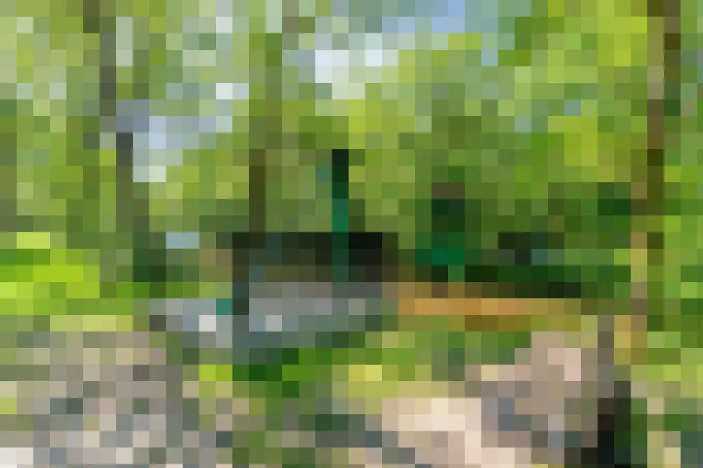 Ruiten A kanaal West V 1 d Ter Apel thumbnail 91
