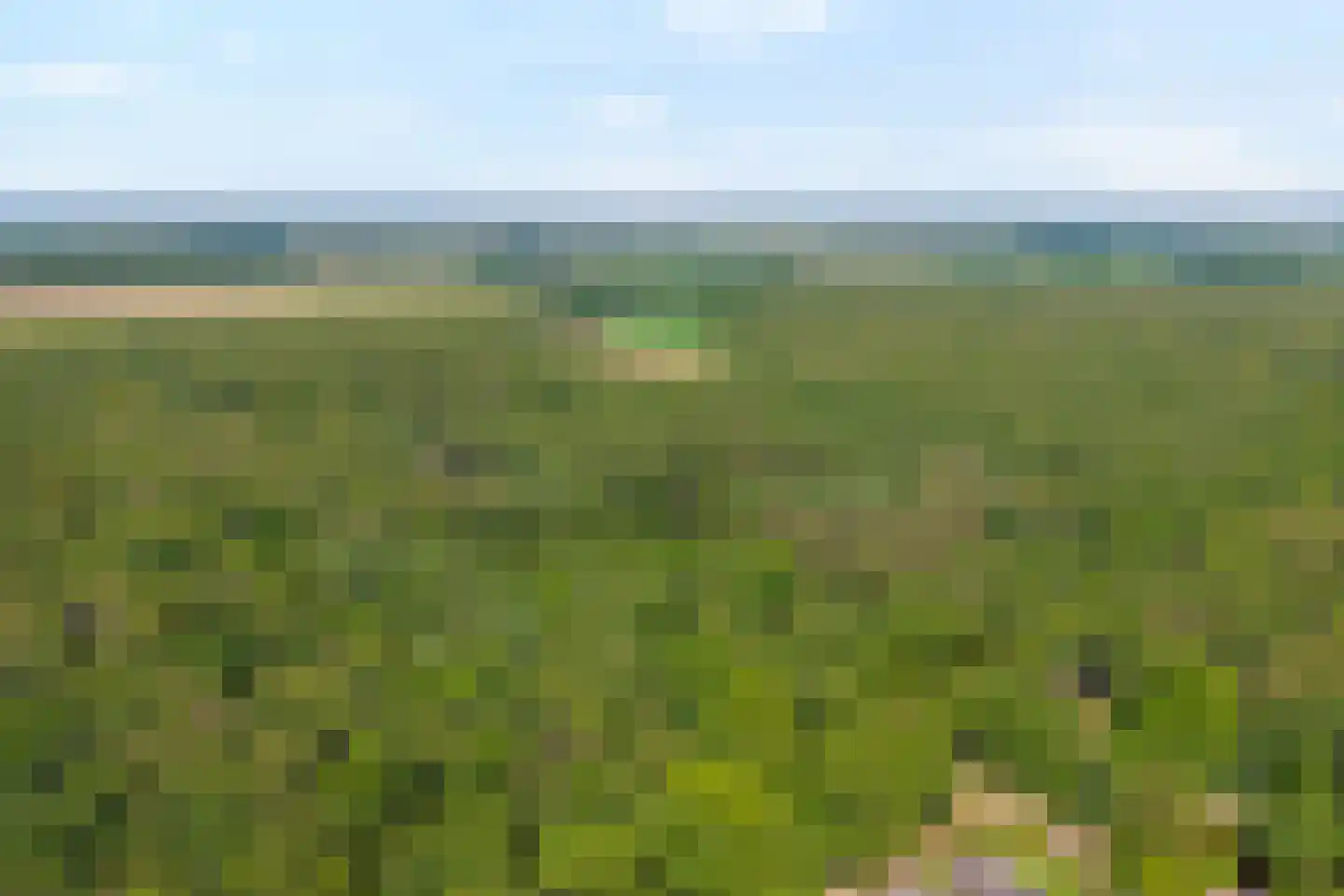 Ruiten A kanaal West V 1 d Ter Apel thumbnail 94