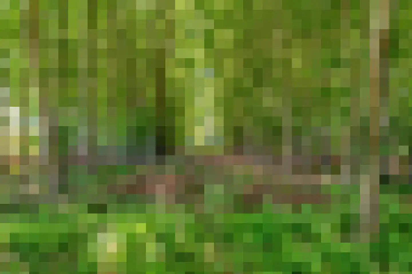 Ruiten A kanaal West V 1 d Ter Apel thumbnail 95