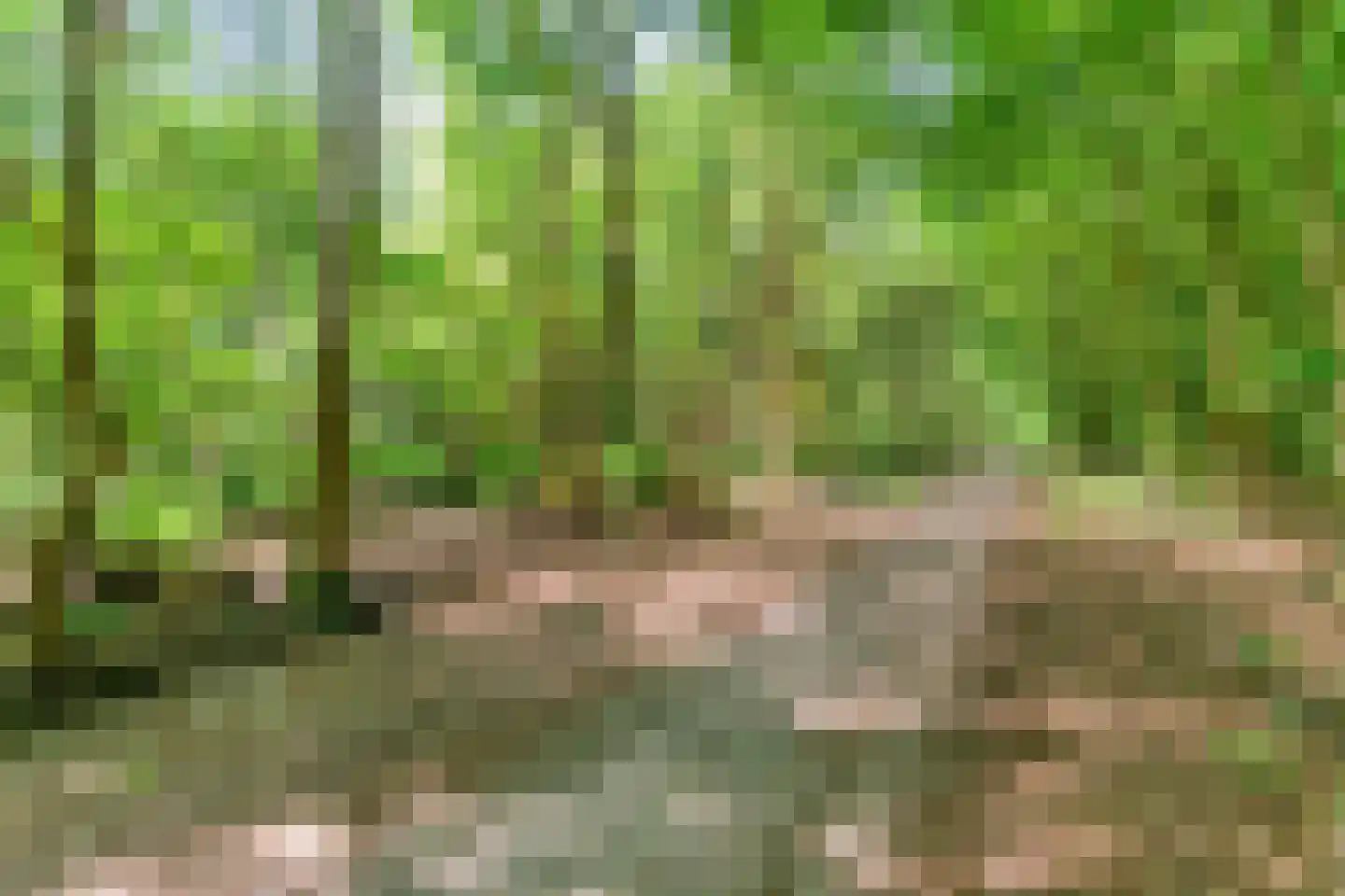 Ruiten A kanaal West V 1 d Ter Apel thumbnail 96