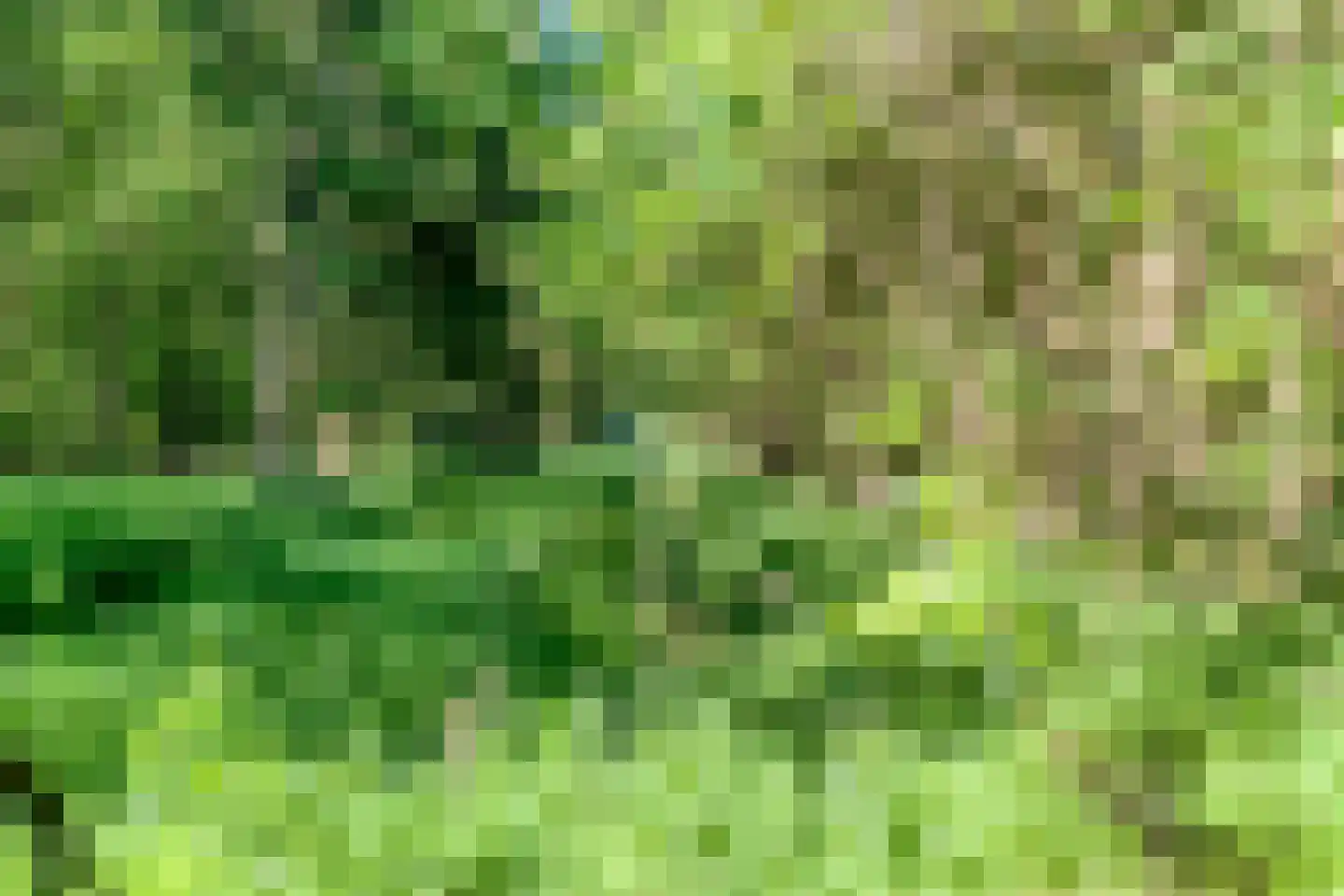 Ruiten A kanaal West V 1 d Ter Apel thumbnail 97