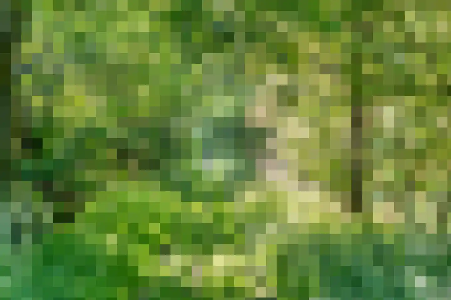 Ruiten A kanaal West V 1 d Ter Apel thumbnail 98