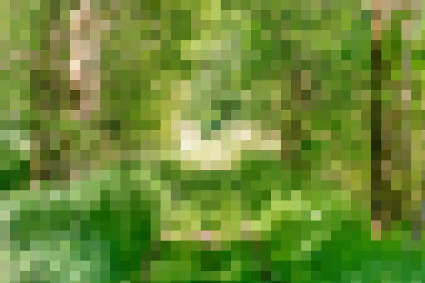 Ruiten A kanaal West V 1 d Ter Apel thumbnail 99