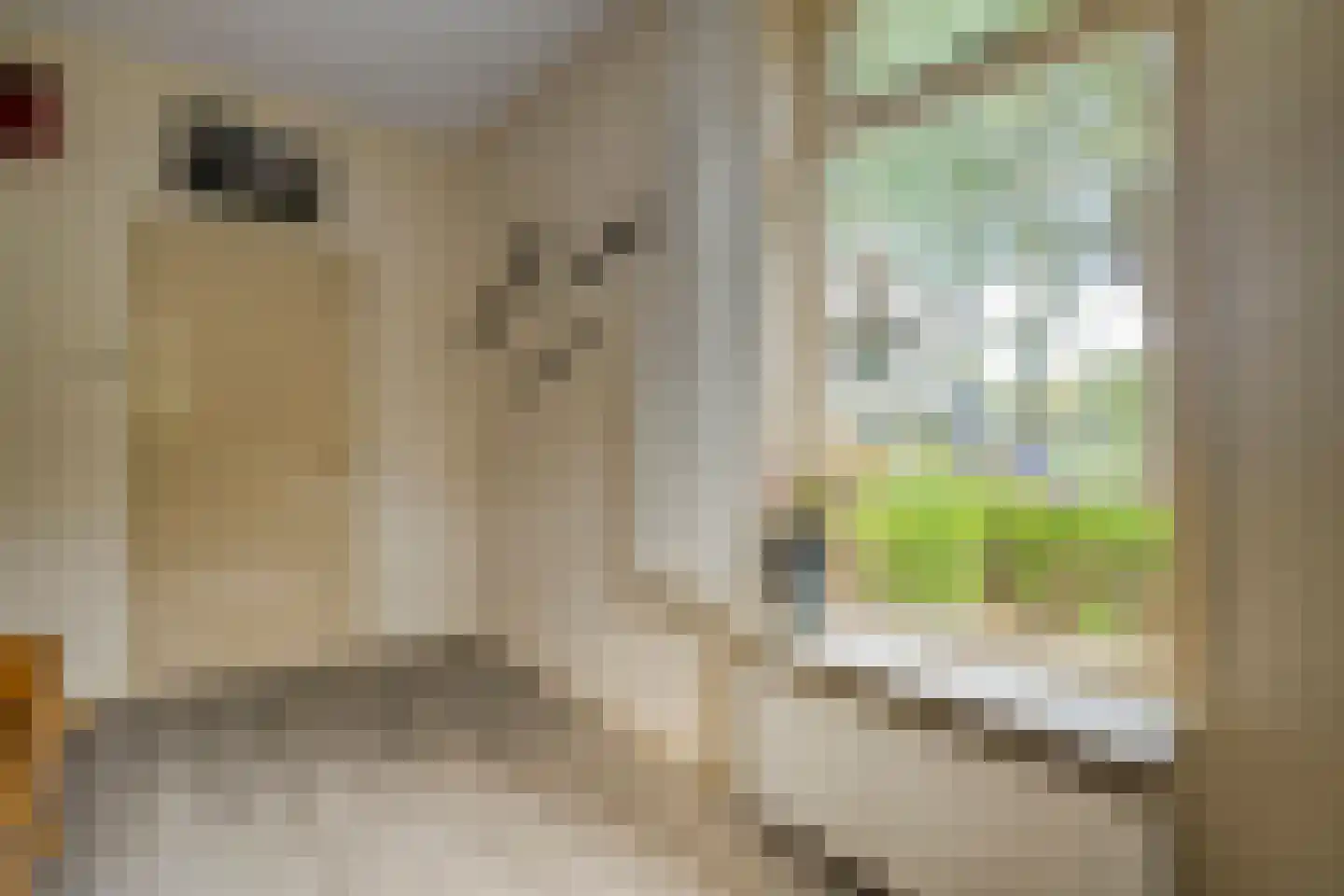 Ruiten A kanaal West V 4 Ter Apel thumbnail 10