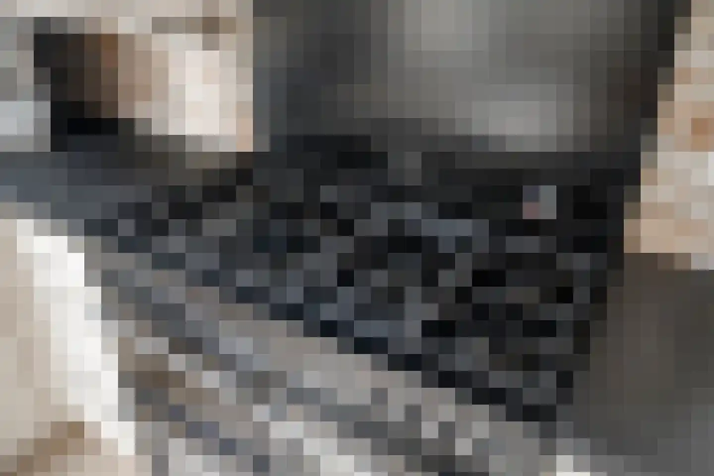 Ruiten A kanaal West V 4 Ter Apel thumbnail 24