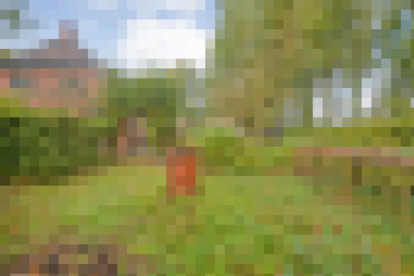 Ruiten A kanaal West V 4 Ter Apel thumbnail 46