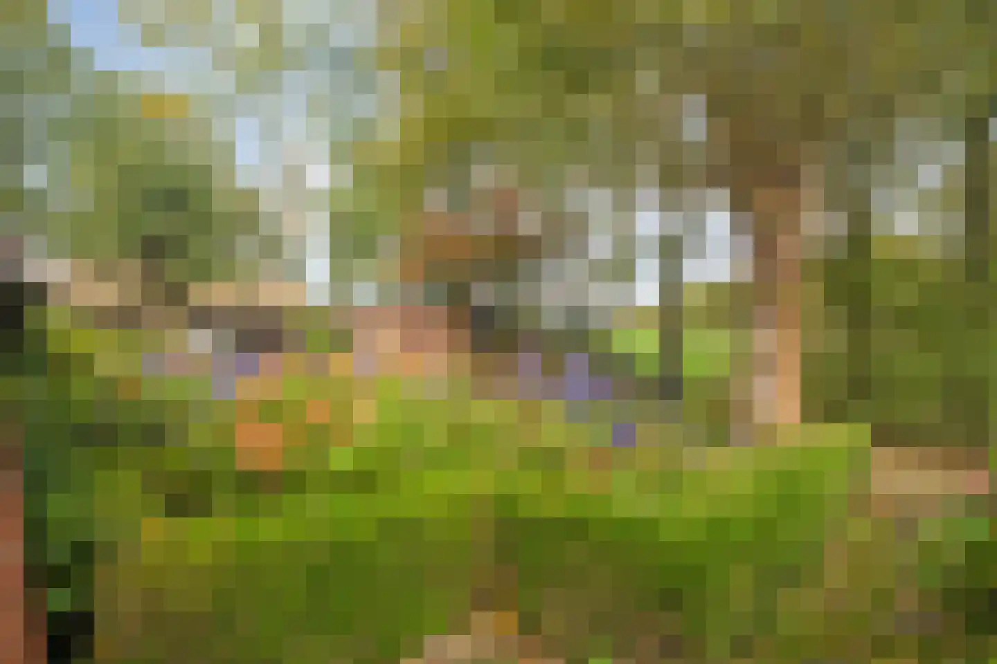 Ruiten A kanaal West V 4 Ter Apel thumbnail 48
