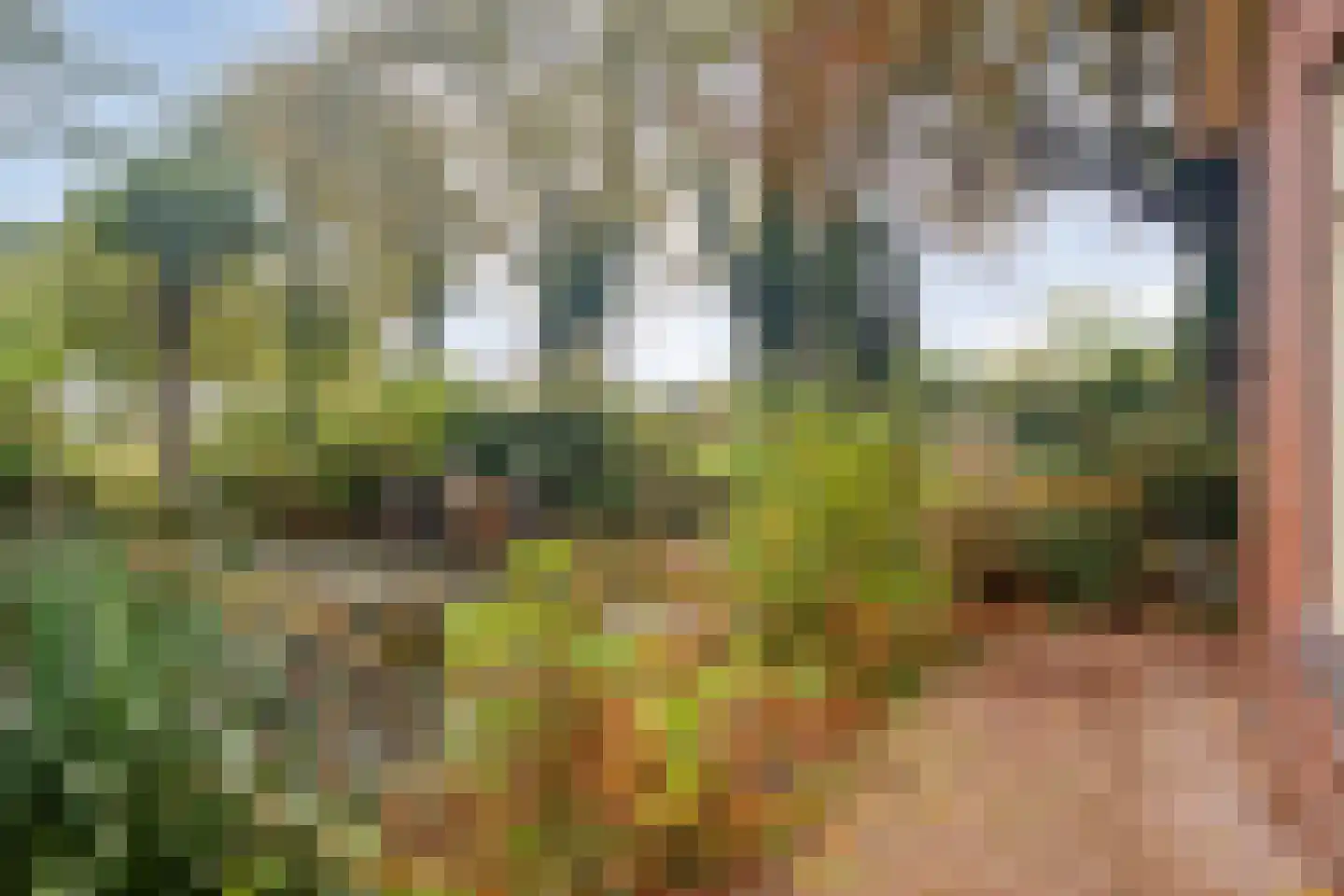 Ruiten A kanaal West V 4 Ter Apel thumbnail 49