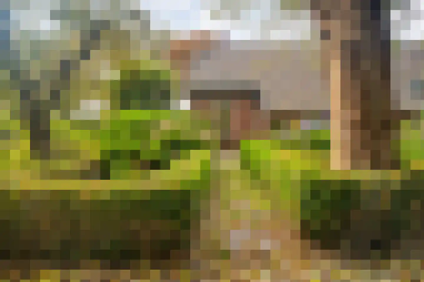 Ruiten A kanaal West V 4 Ter Apel thumbnail 5
