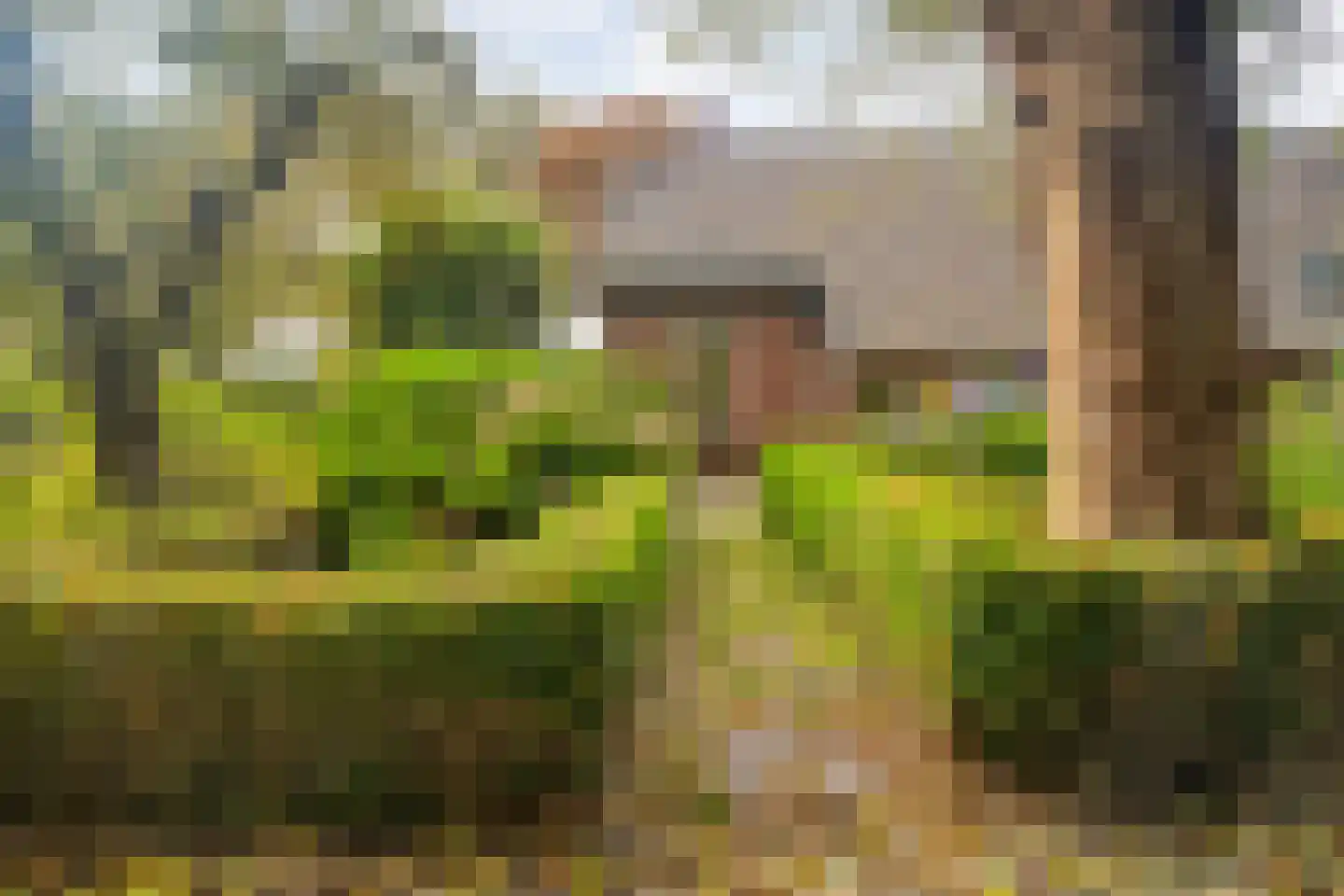 Ruiten A kanaal West V 4 Ter Apel thumbnail 5