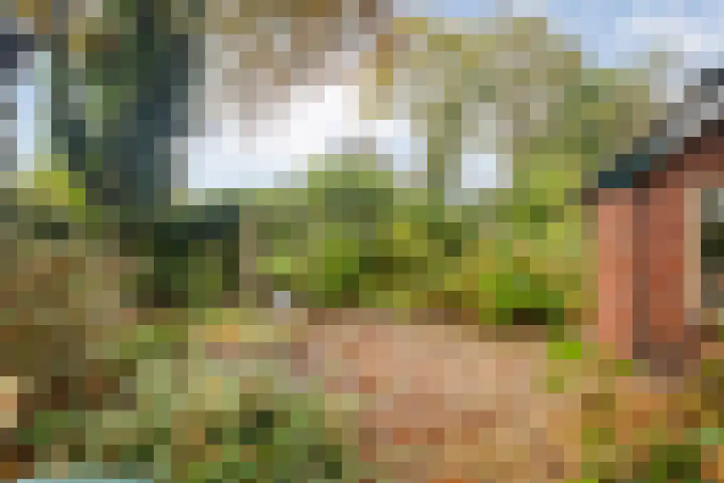 Ruiten A kanaal West V 4 Ter Apel thumbnail 50