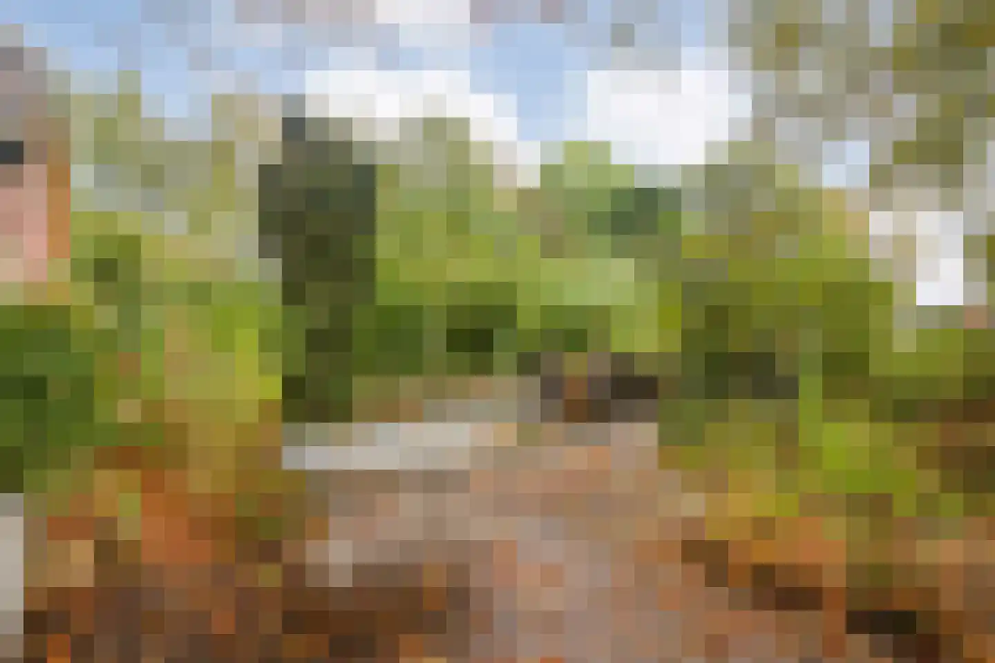 Ruiten A kanaal West V 4 Ter Apel thumbnail 51