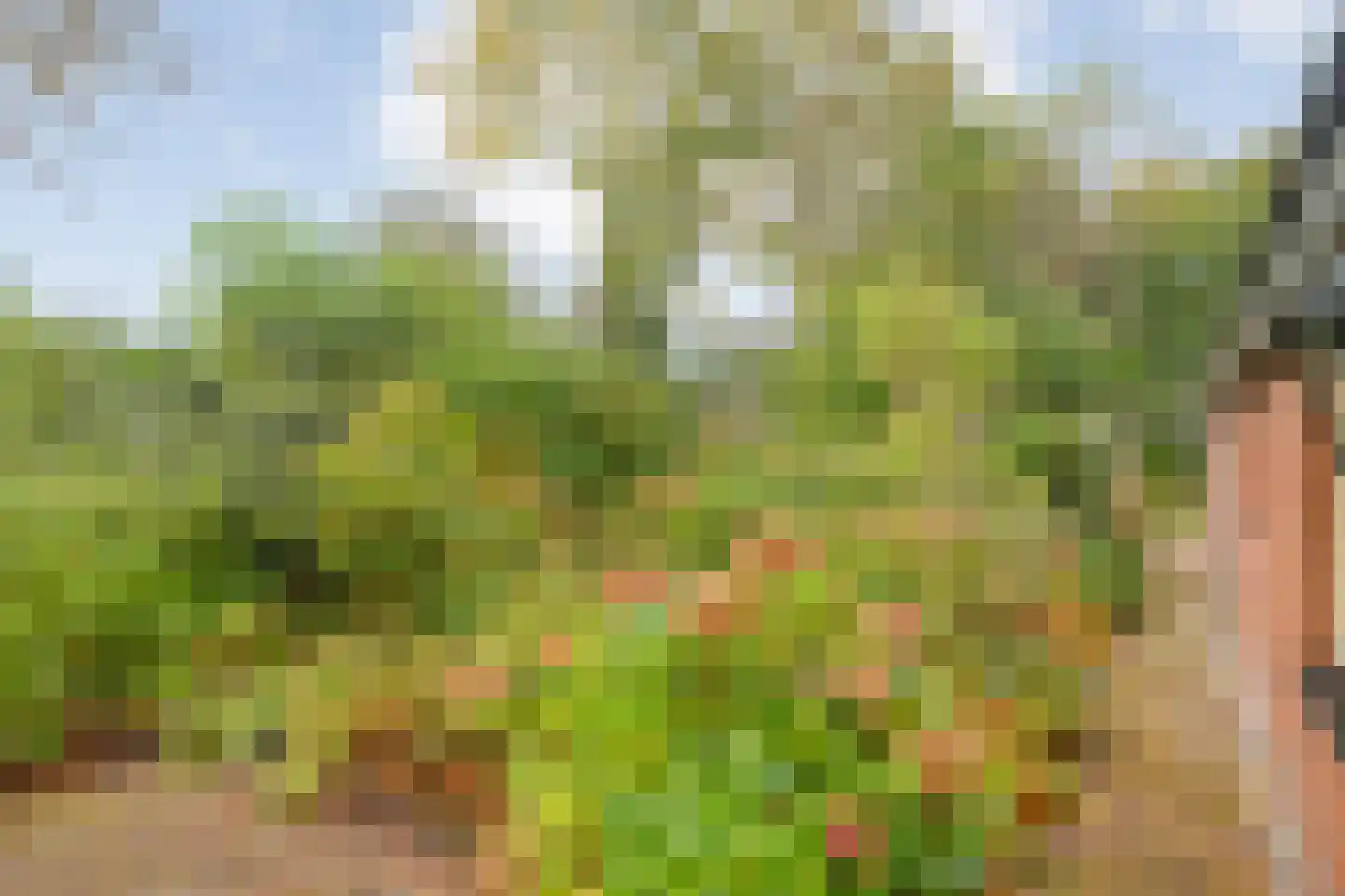 Ruiten A kanaal West V 4 Ter Apel thumbnail 52