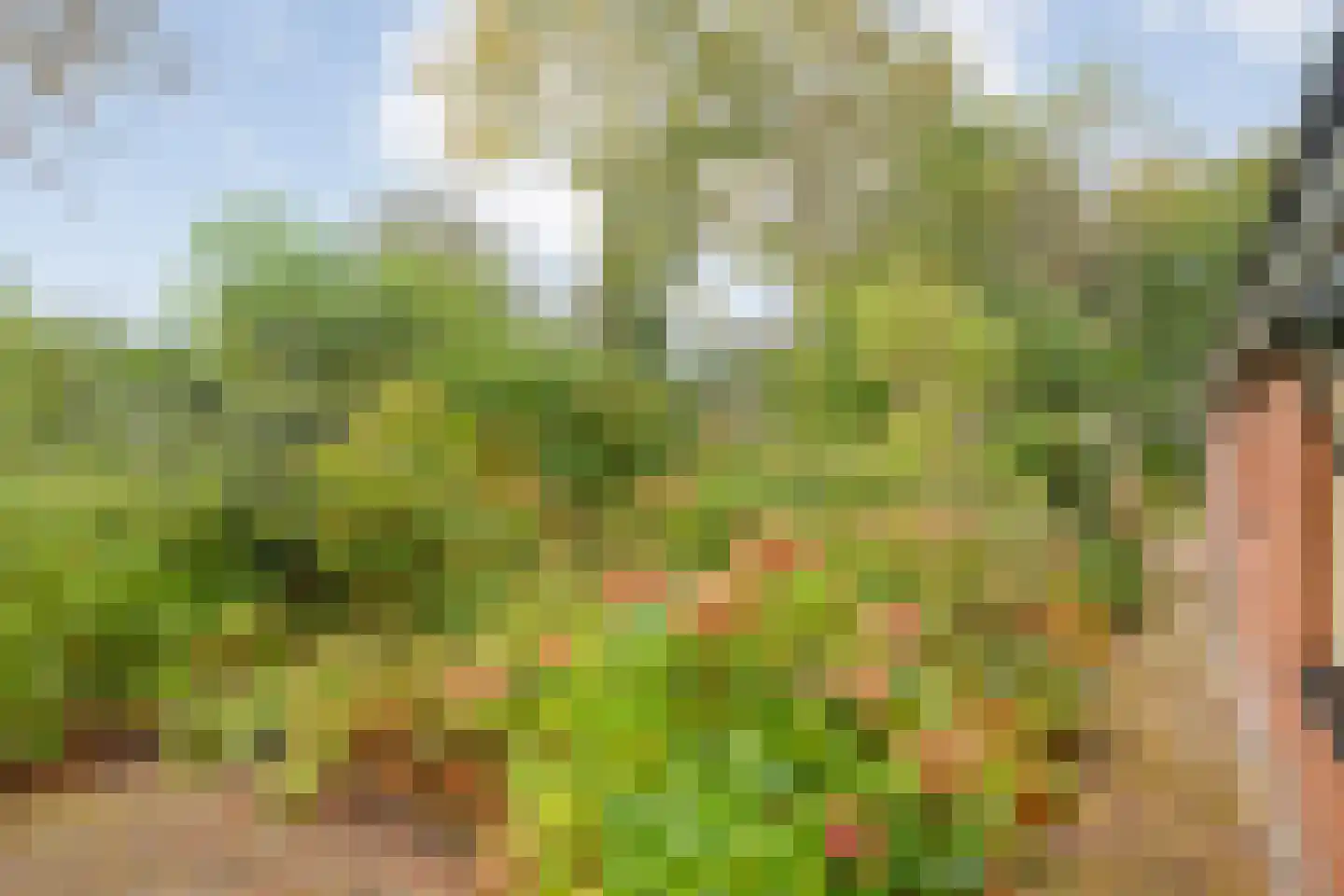 Ruiten A kanaal West V 4 Ter Apel thumbnail 52