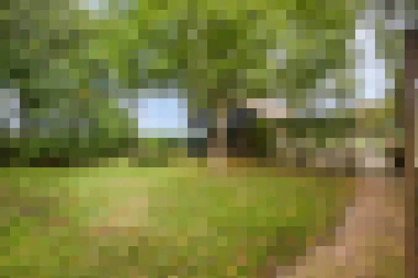Ruiten A kanaal West V 4 Ter Apel thumbnail 53