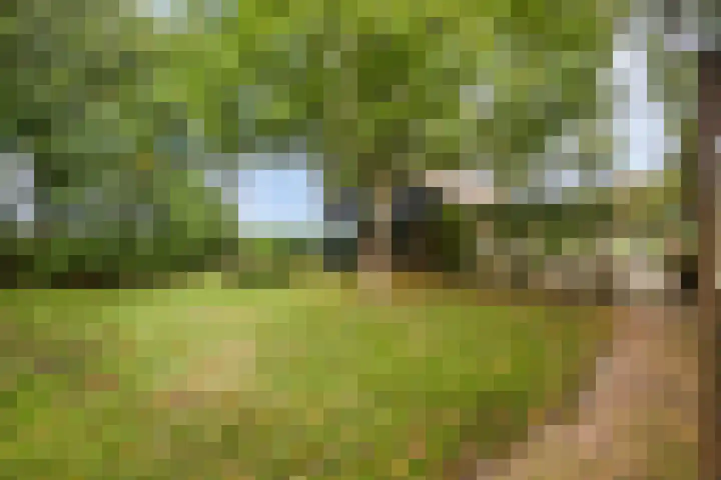 Ruiten A kanaal West V 4 Ter Apel thumbnail 53