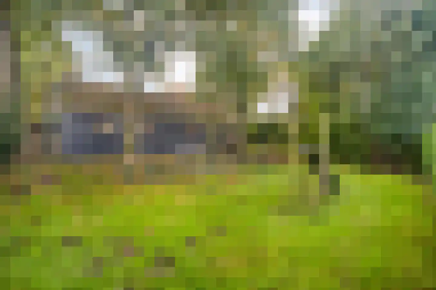 Ruiten A kanaal West V 4 Ter Apel thumbnail 67