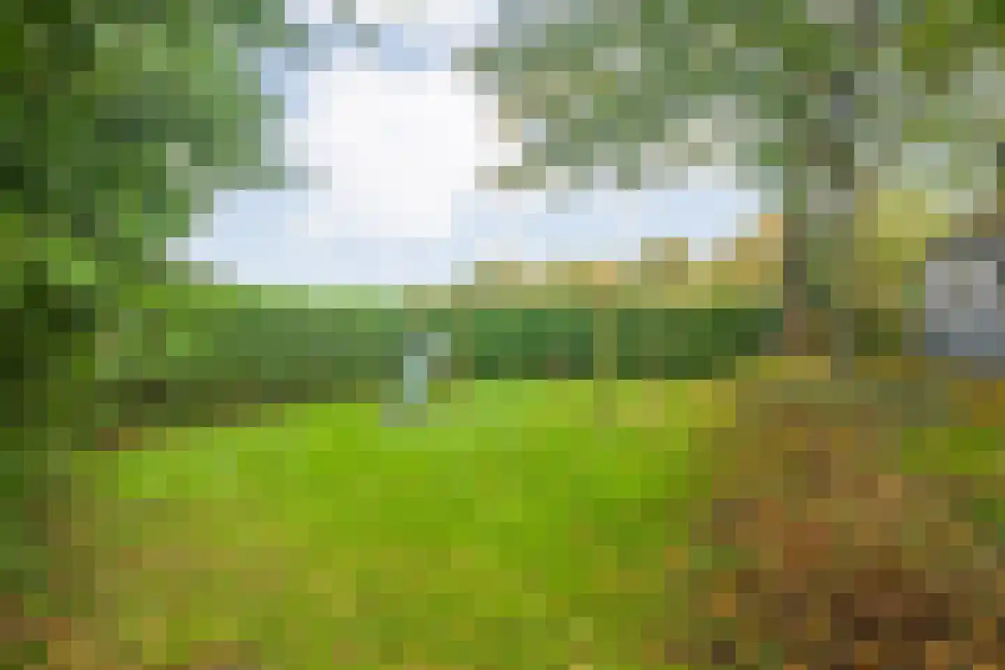 Ruiten A kanaal West V 4 Ter Apel thumbnail 68
