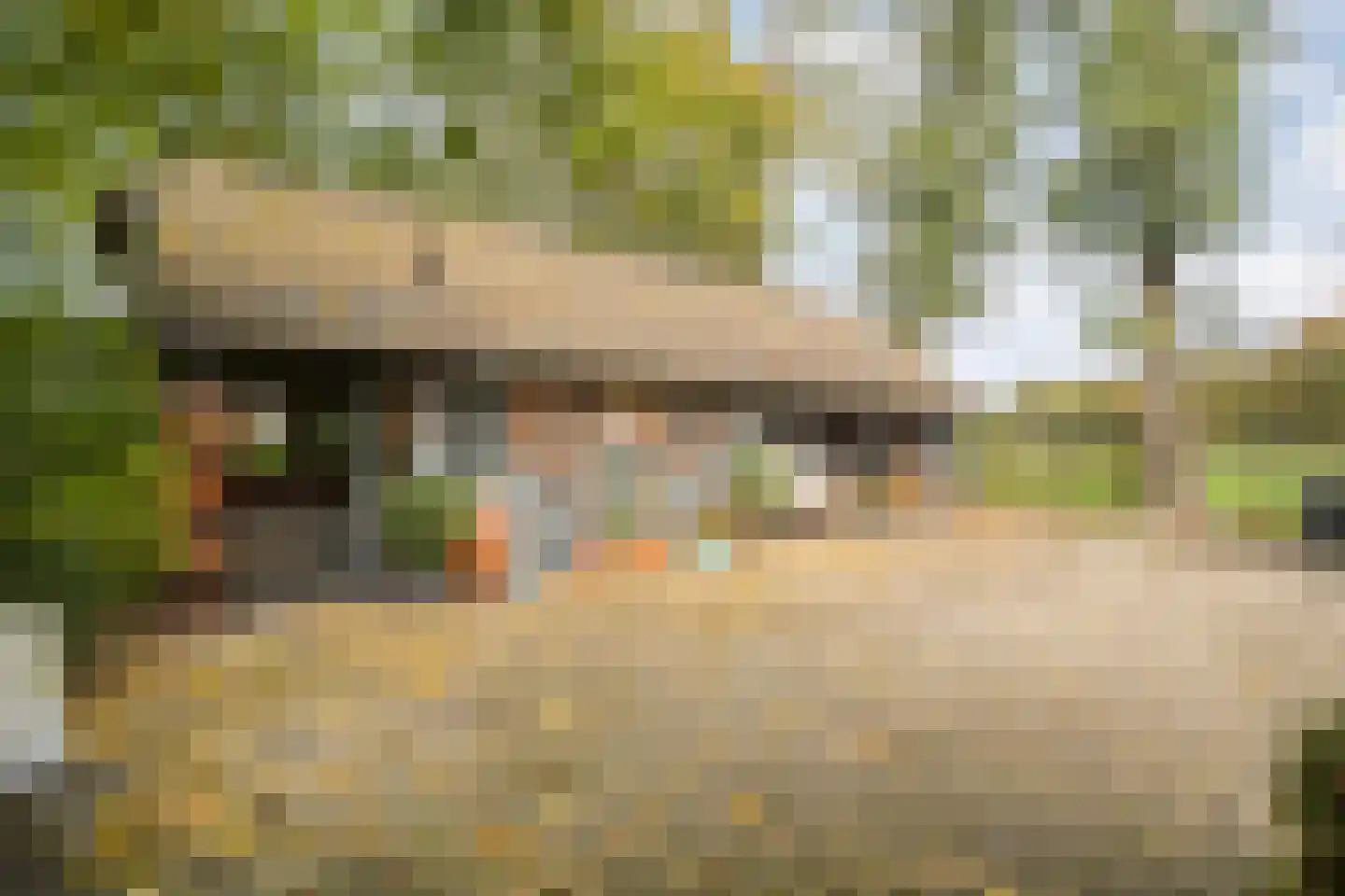 Ruiten A kanaal West V 4 Ter Apel thumbnail 72