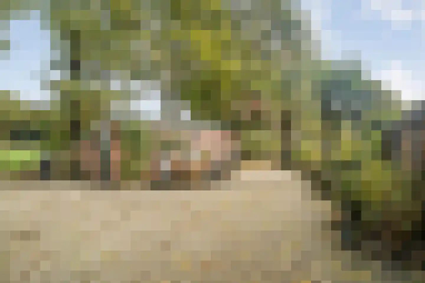 Ruiten A kanaal West V 4 Ter Apel thumbnail 73