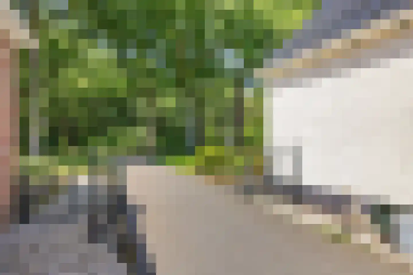 Ruiten A kanaal Zuid 19 Ter Apel thumbnail 34