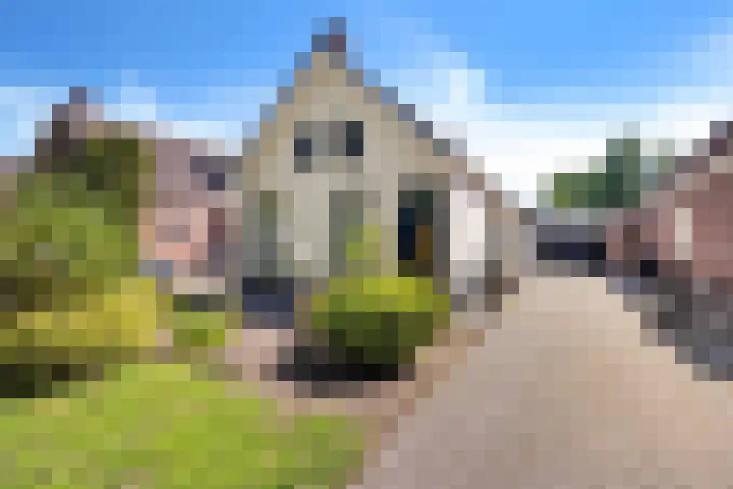 Ruiten A kanaal Zuid 19 Ter Apel thumbnail 4
