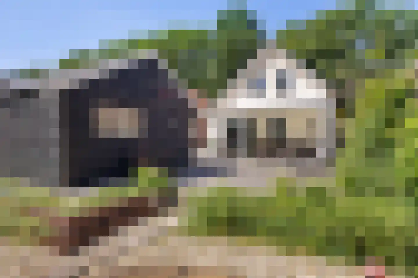 Ruiten A kanaal Zuid 19 Ter Apel thumbnail 41
