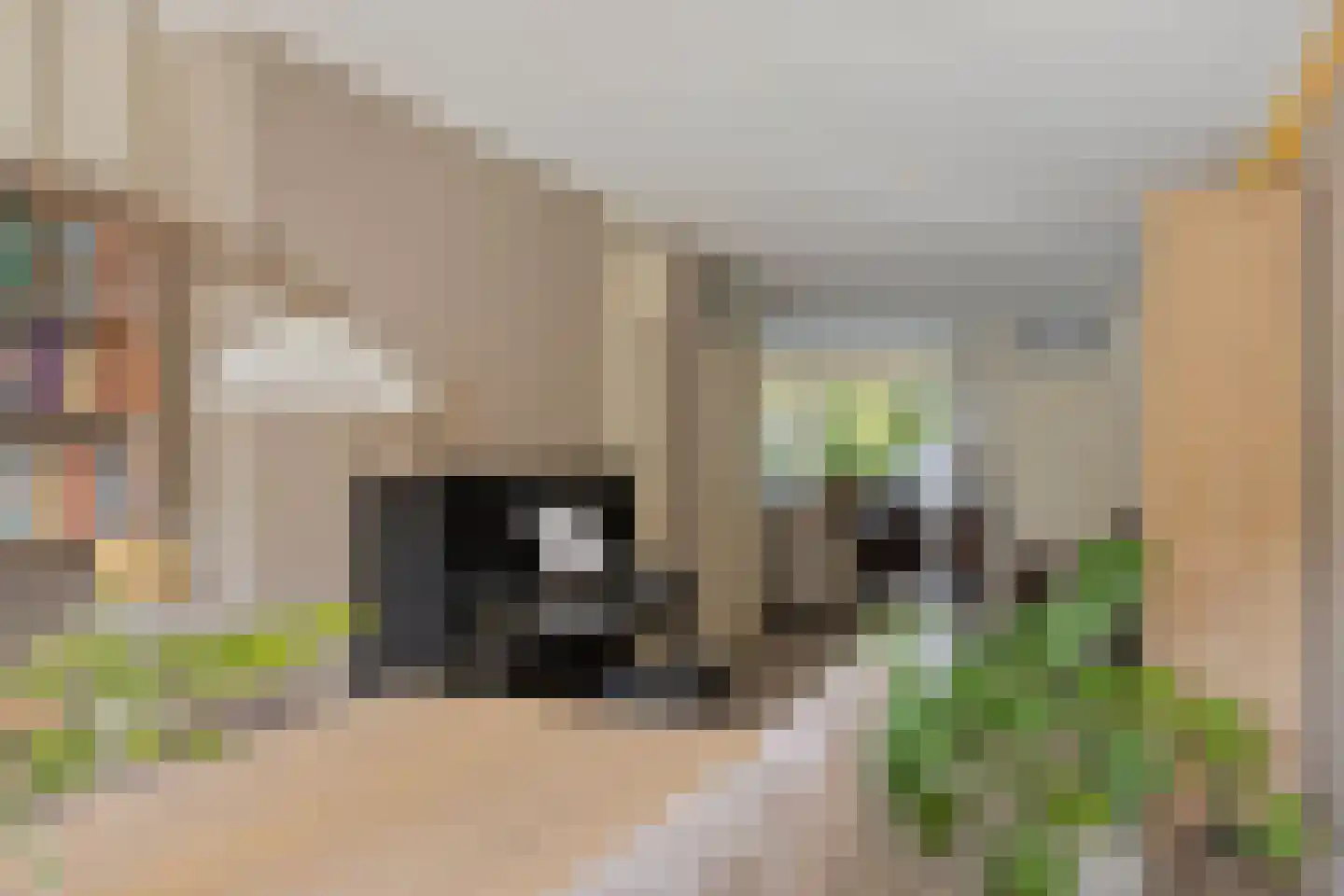 Ruitenbeekskamp 13 Scherpenzeel thumbnail 10