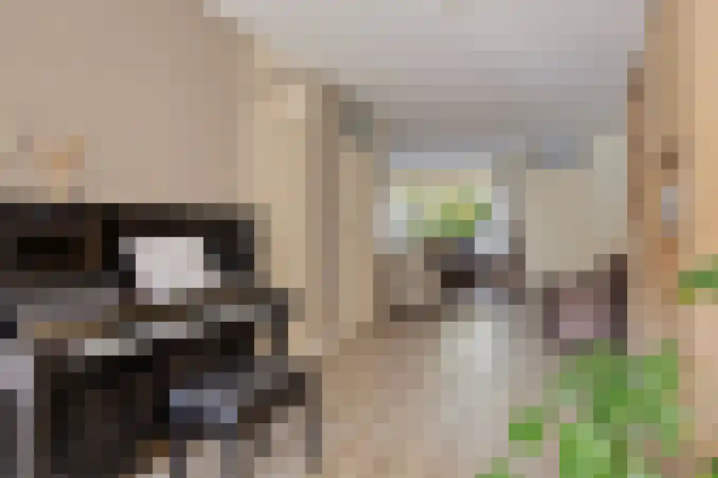 Ruitenbeekskamp 13 Scherpenzeel thumbnail 11