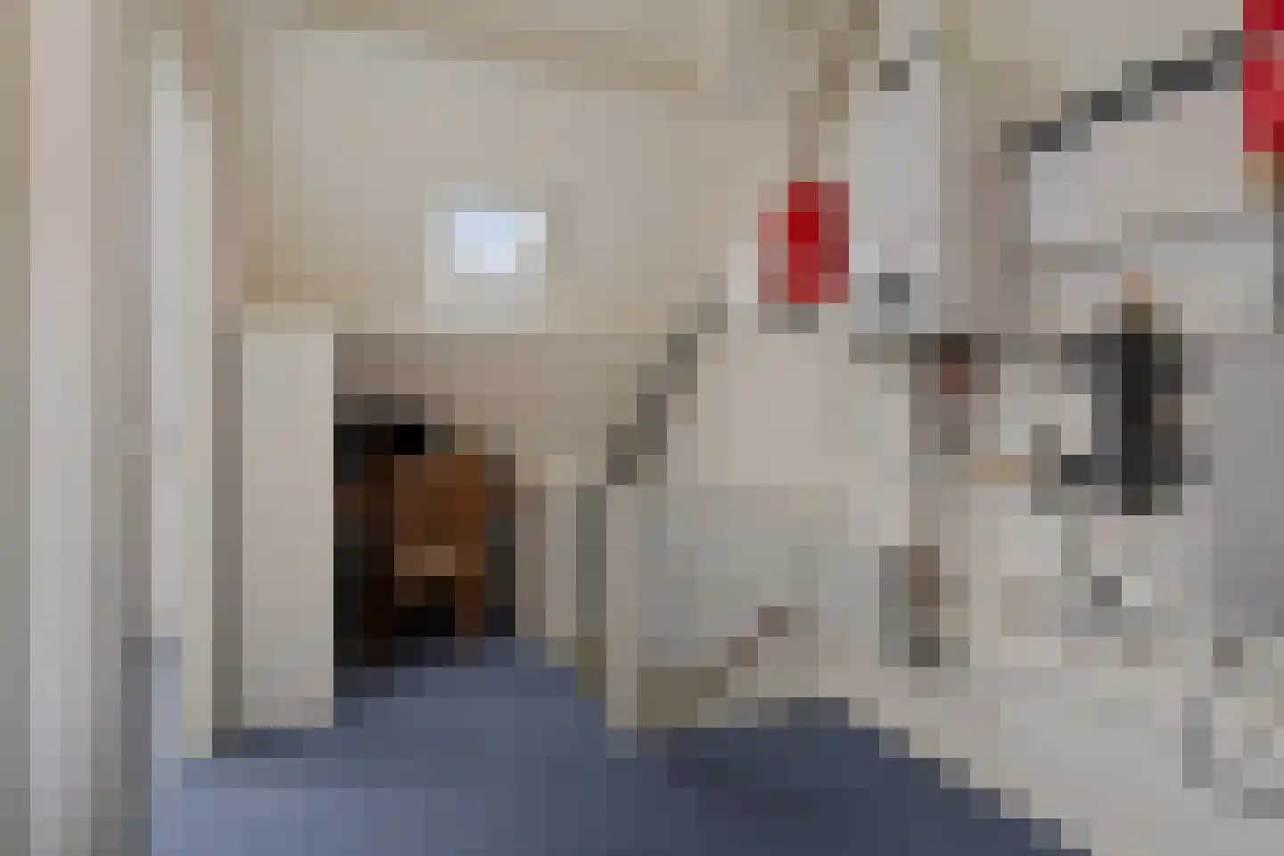 Ruitenbeekskamp 13 Scherpenzeel thumbnail 24