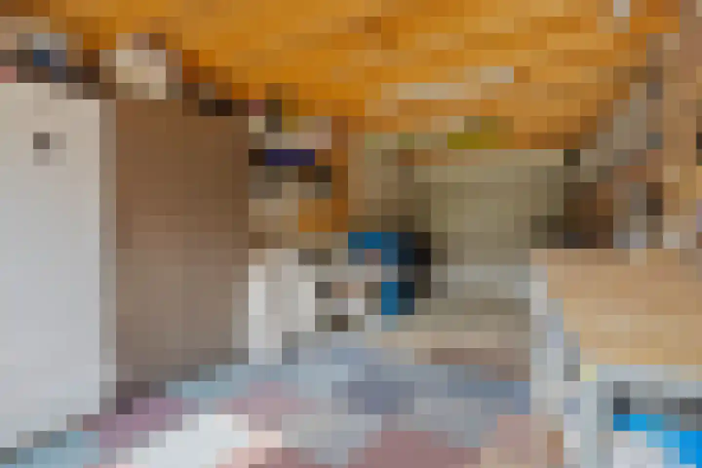 Ruitenbeekskamp 13 Scherpenzeel thumbnail 31