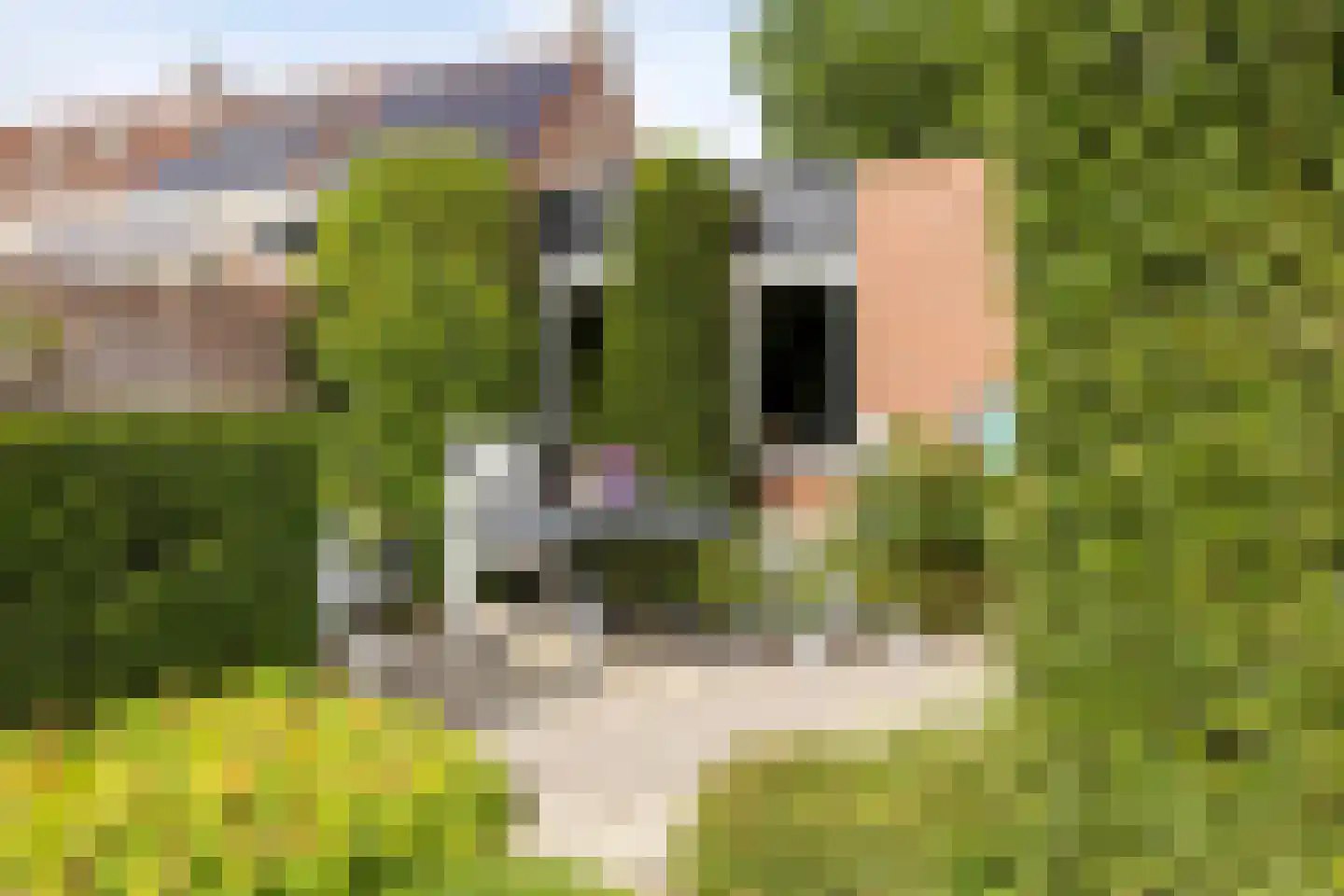 Ruitenbeekskamp 13 Scherpenzeel thumbnail 37