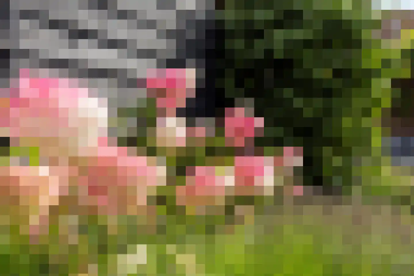 Ruitenbeekskamp 13 Scherpenzeel thumbnail 39