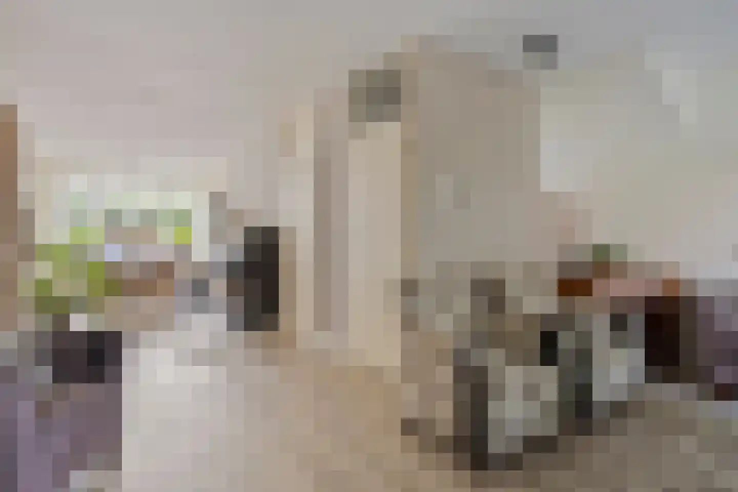 Ruitenbeekskamp 13 Scherpenzeel thumbnail 4