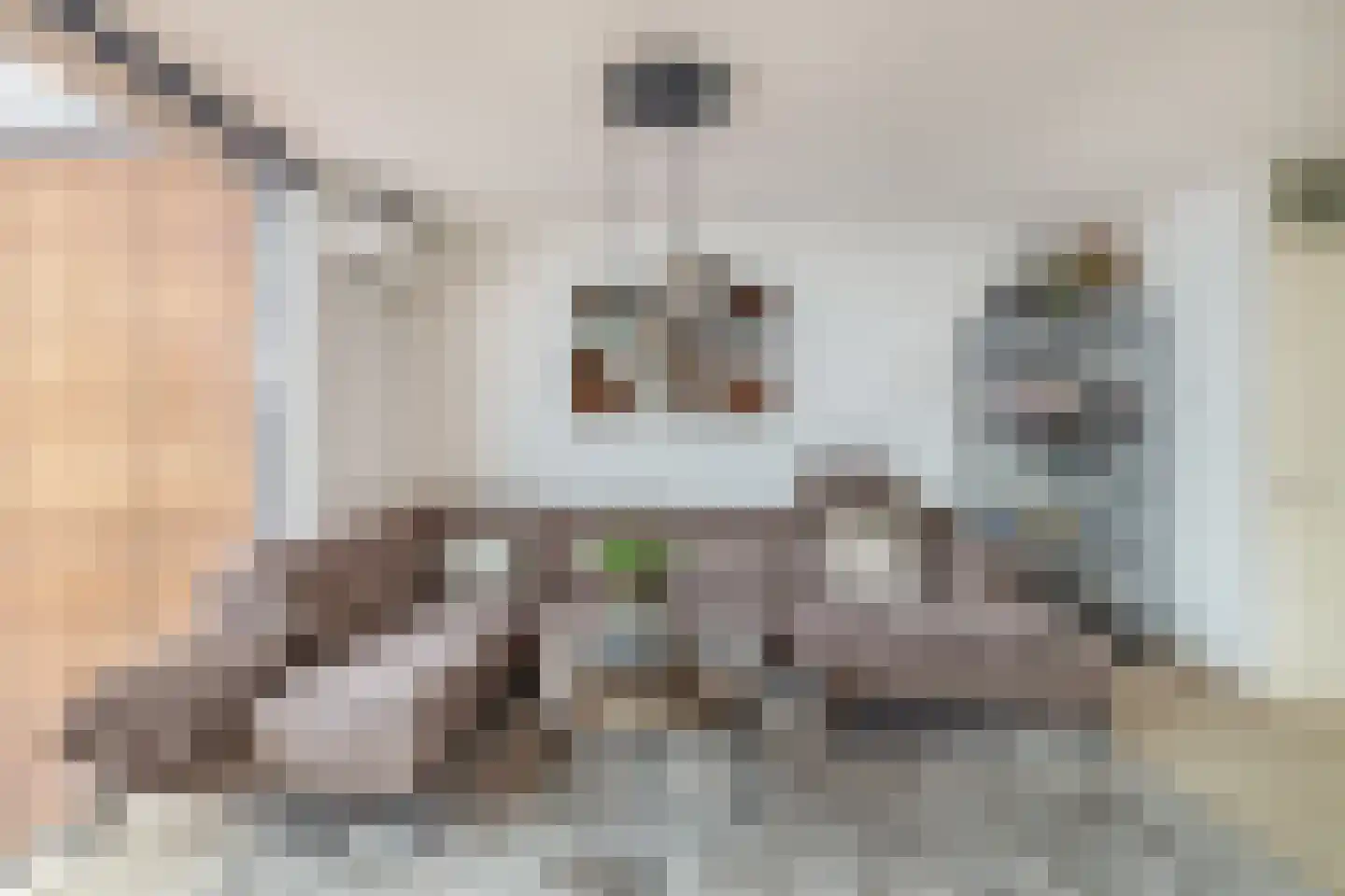 Ruitenborghstraat 13 Rotterdam thumbnail 13