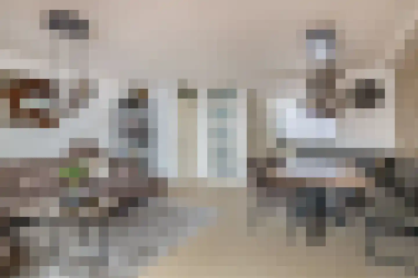 Ruitenborghstraat 13 Rotterdam thumbnail 14
