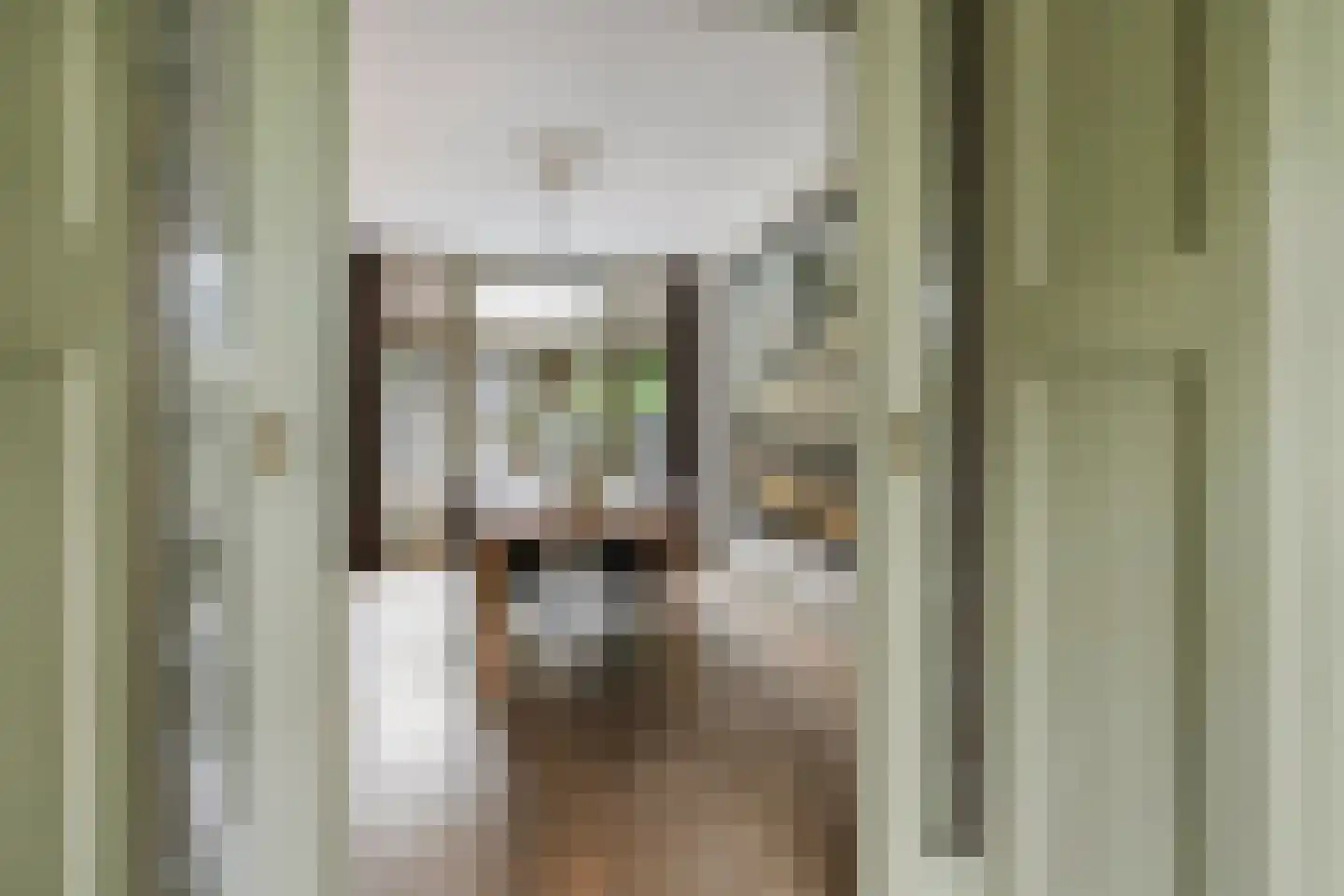 Ruitenborghstraat 24 Dalfsen thumbnail 11