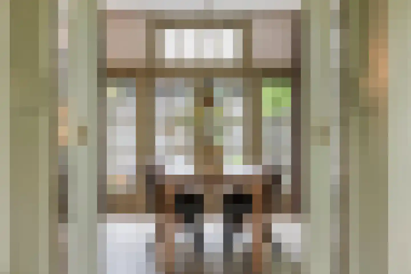 Ruitenborghstraat 24 Dalfsen thumbnail 12